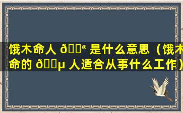 饿木命人 💮 是什么意思（饿木命的 🐵 人适合从事什么工作）